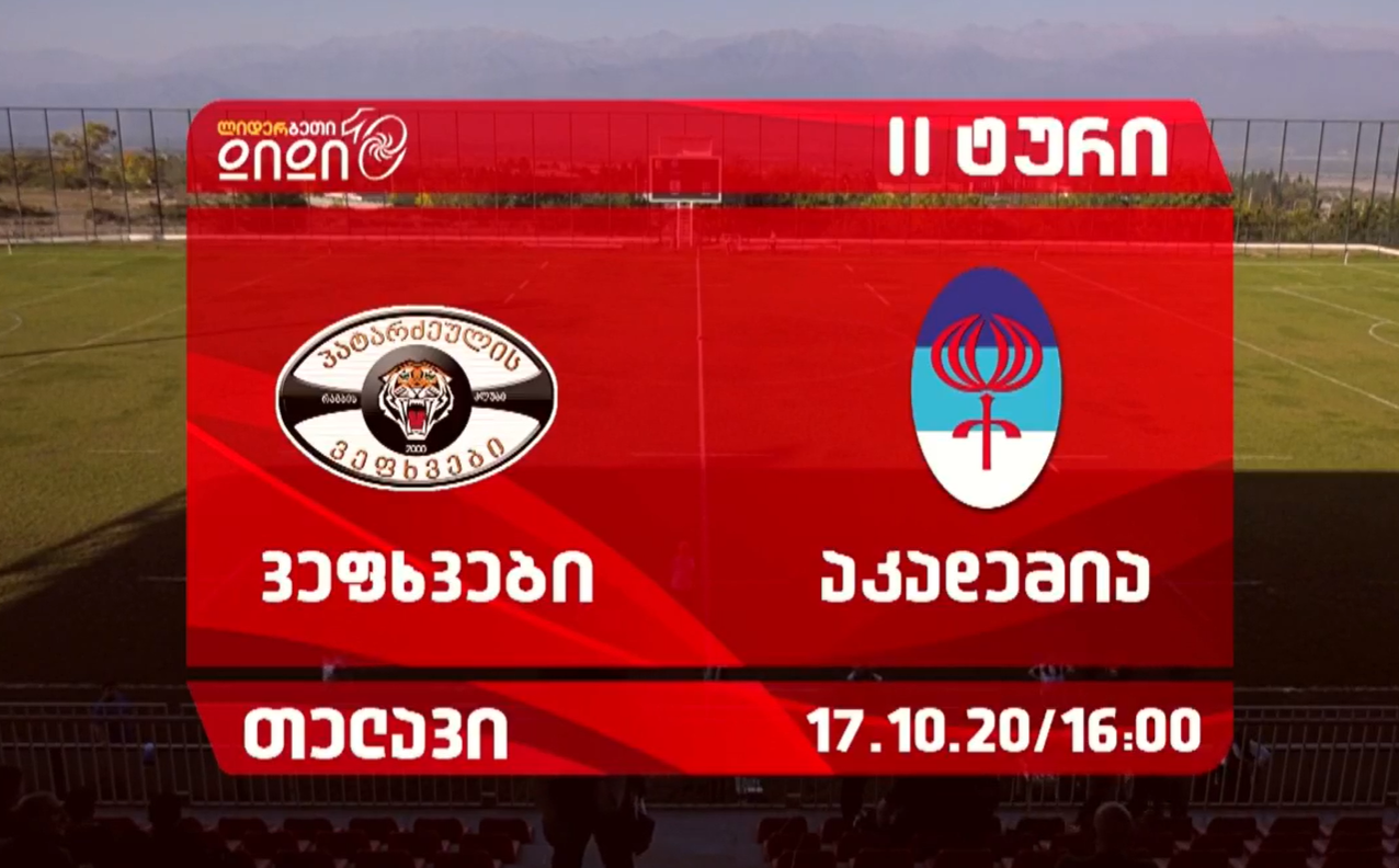 ვეფხვები - აკადემია (პირდაპირი ეთერი)