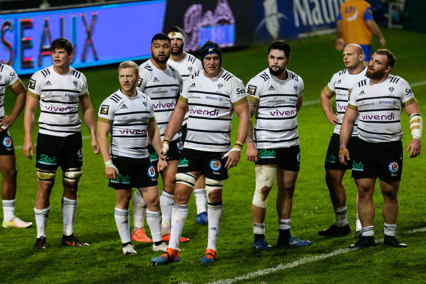 კასტრი 24:25 ბრივი (მიმოხილვა)