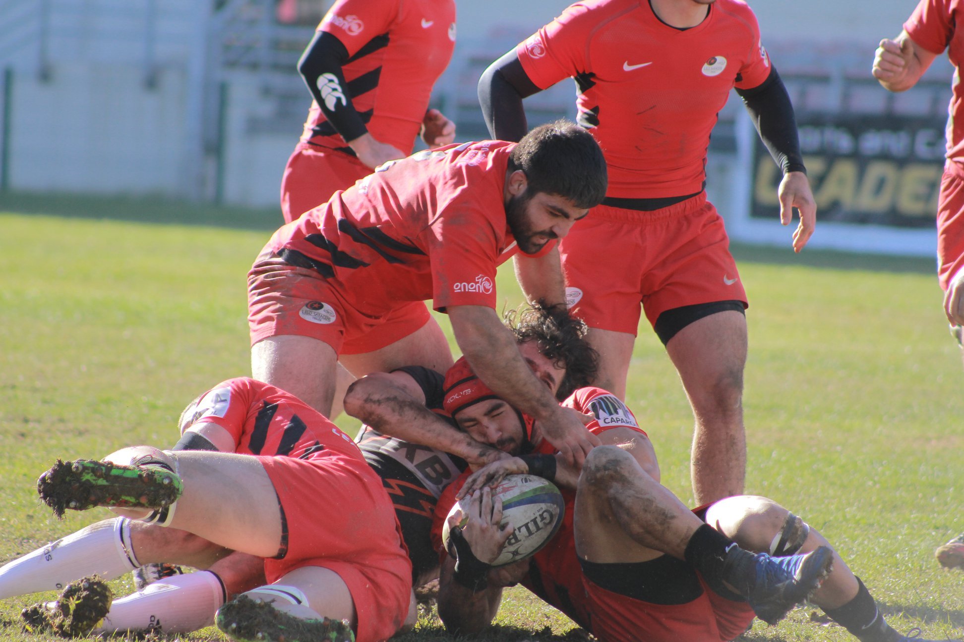დიდი 10: ლელო სარასენსმა ვეფხვები მშრალი ანგარიშით დაამარცხა (VIDEO)
